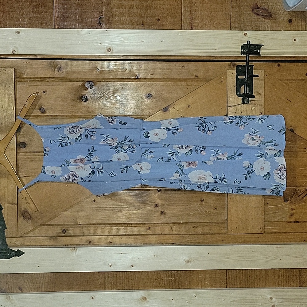 Light Blue Floral Large Dress Blue Rain Brand Francesca's